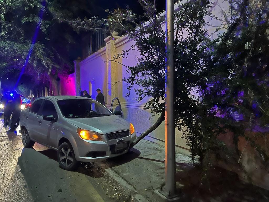 Ebrio al volante choca contra árbol y lo derriba a primera hora de esta mañana en Torreón