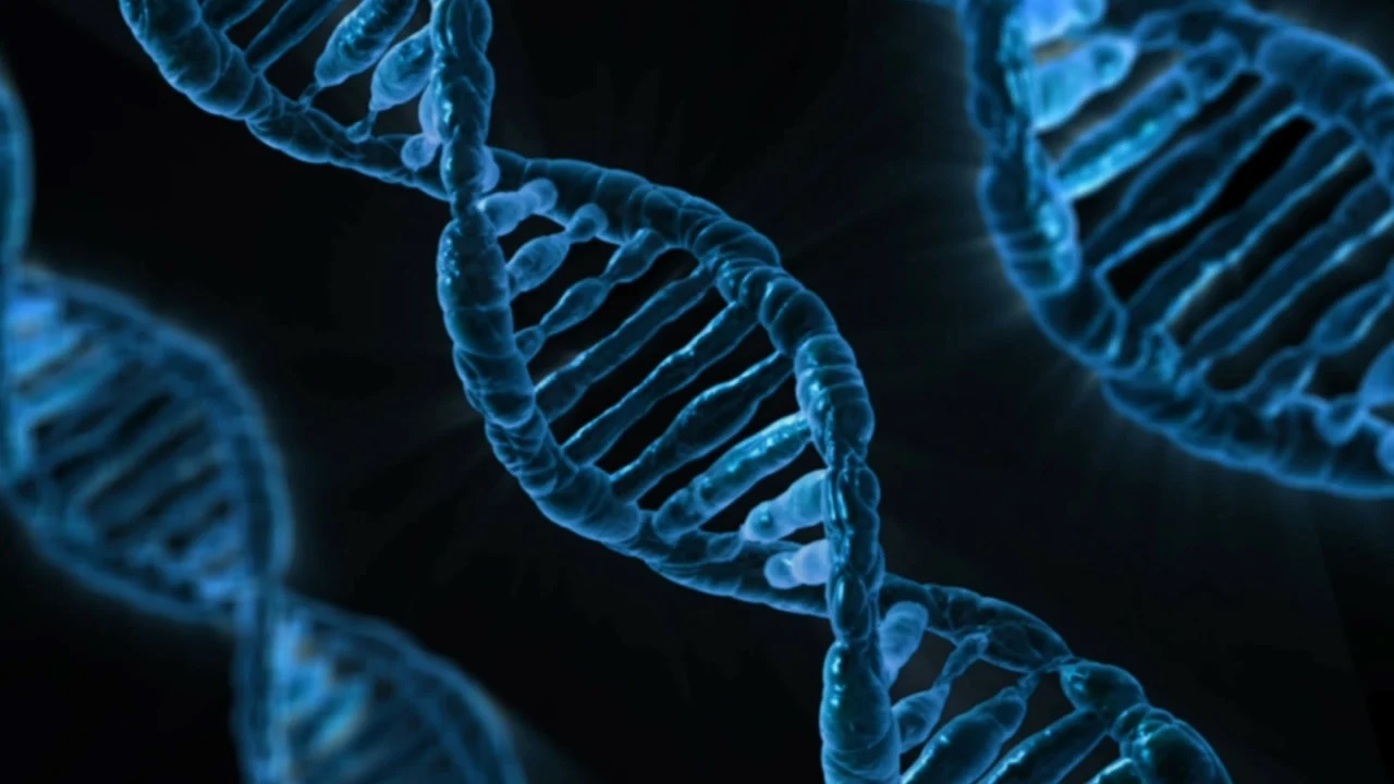 El ADN antiguo revela la mortífera evolución de un virus aviar