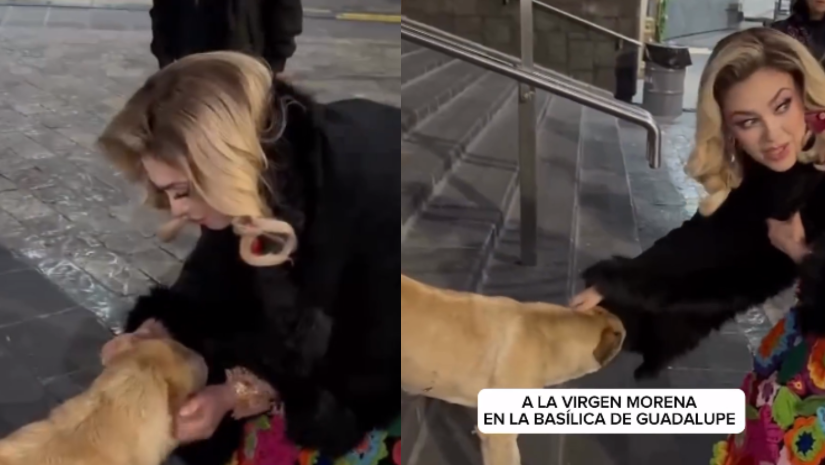 ¿Lo adoptó? Aracely Arámbula rescata a perro afuera de la Basílica de Guadalupe