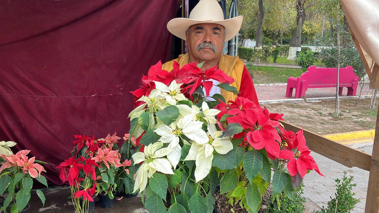 Don Apolinar Campos, de 62 años de edad, atiende un negocio de venta de plantas, entre ellas las tradicionales Nochebuenas.