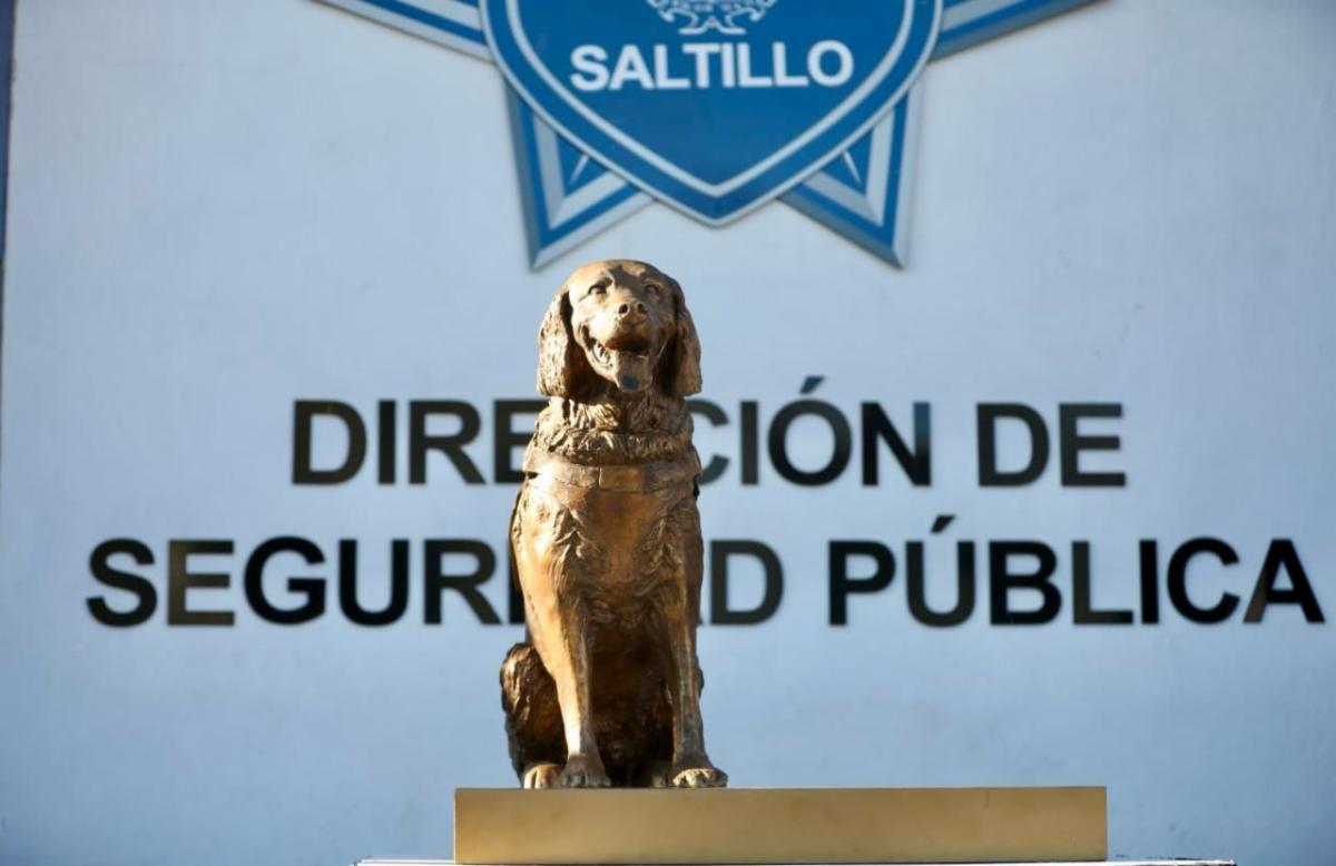 Como un homenaje póstumo a su lealtad en el servicio por la seguridad de los saltillenses, el alcalde José Maria Fraustro Siller develó la estatua de la perrita Sky frente al edificio de la Comisaría de Seguridad y Protección Ciudadana.