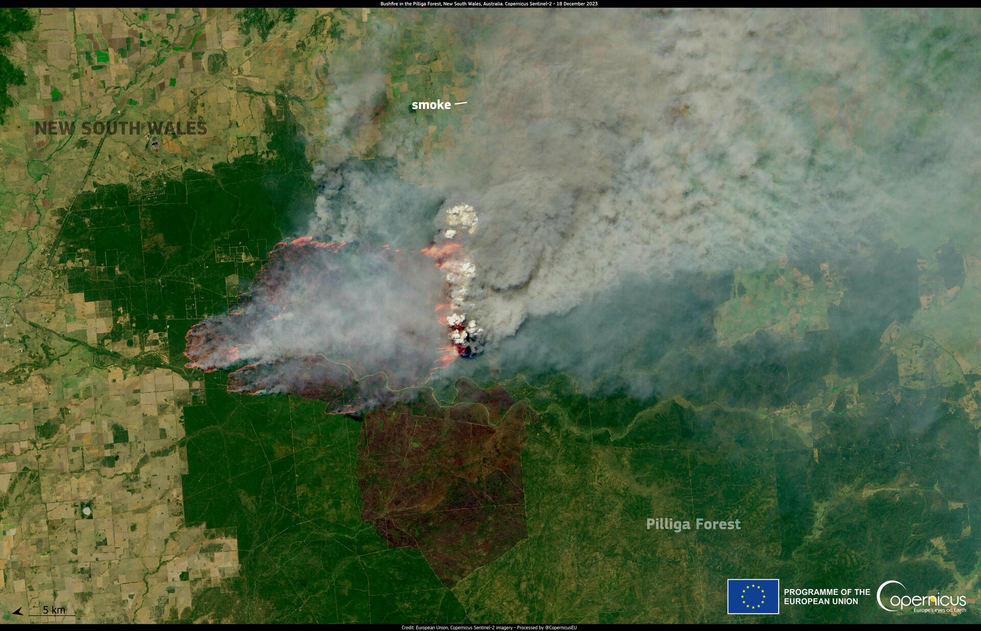 Australia enfrenta incendio forestal de 100 mil hectáreas 