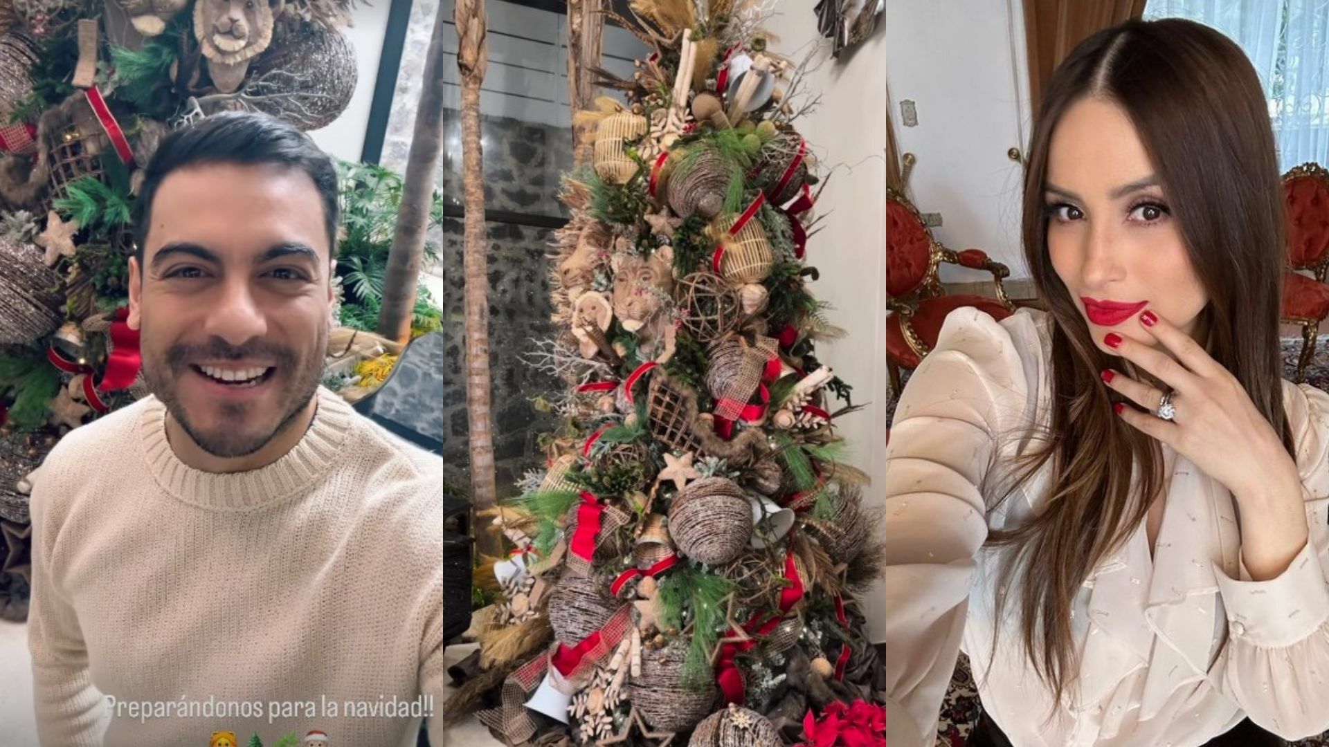Carlos Rivera y Cynthia Rodríguez comparten en redes su árbol de Navidad; ¿cuál es su significado?