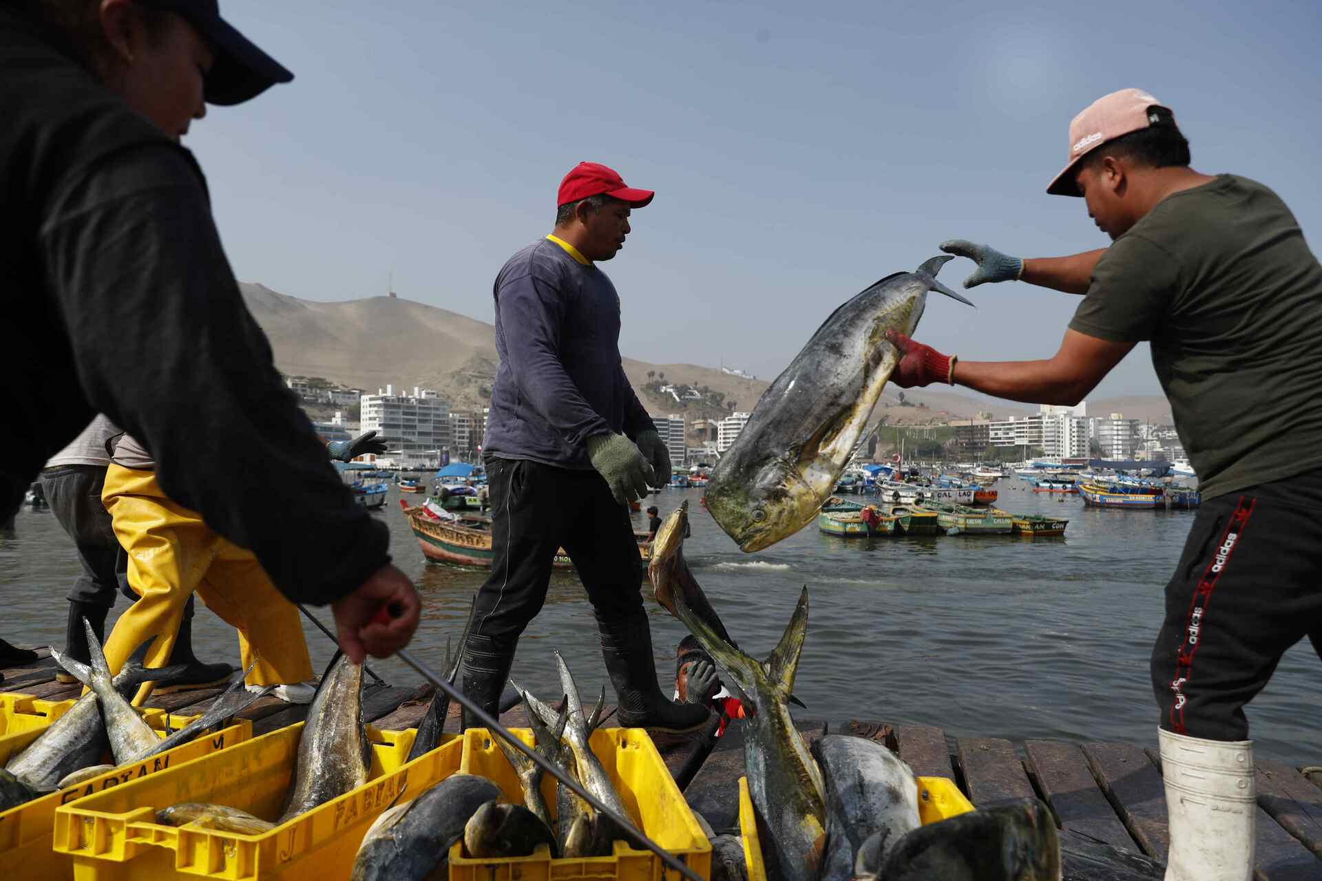 Perú buscará evitar recesión y recuperar la confianza en 2024