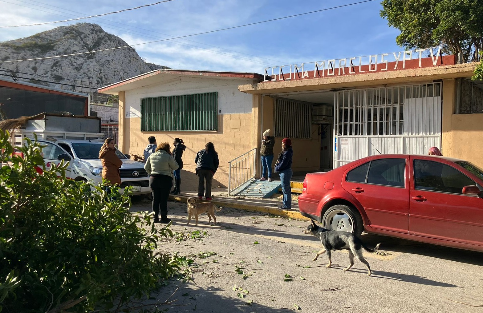 Niños entran en pánico por caída de árbol en primaria de Torreón