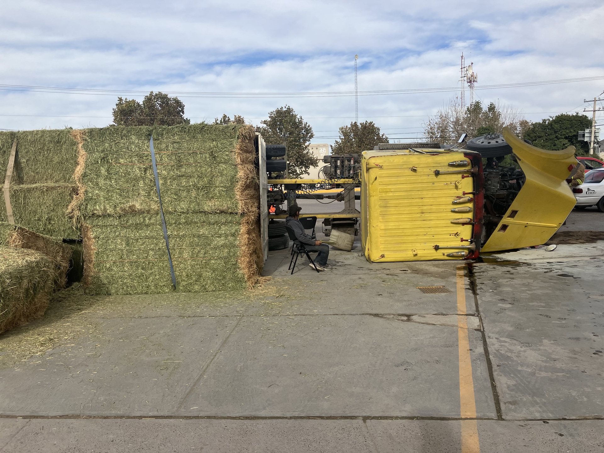 Vuelca tráiler cargado con pacas de alimento para ganado en Lerdo