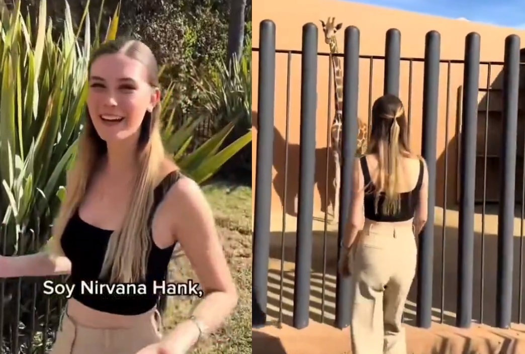 Tunden a la 'influencer' Nirvana Hank por tener una jirafa en su casa en México 