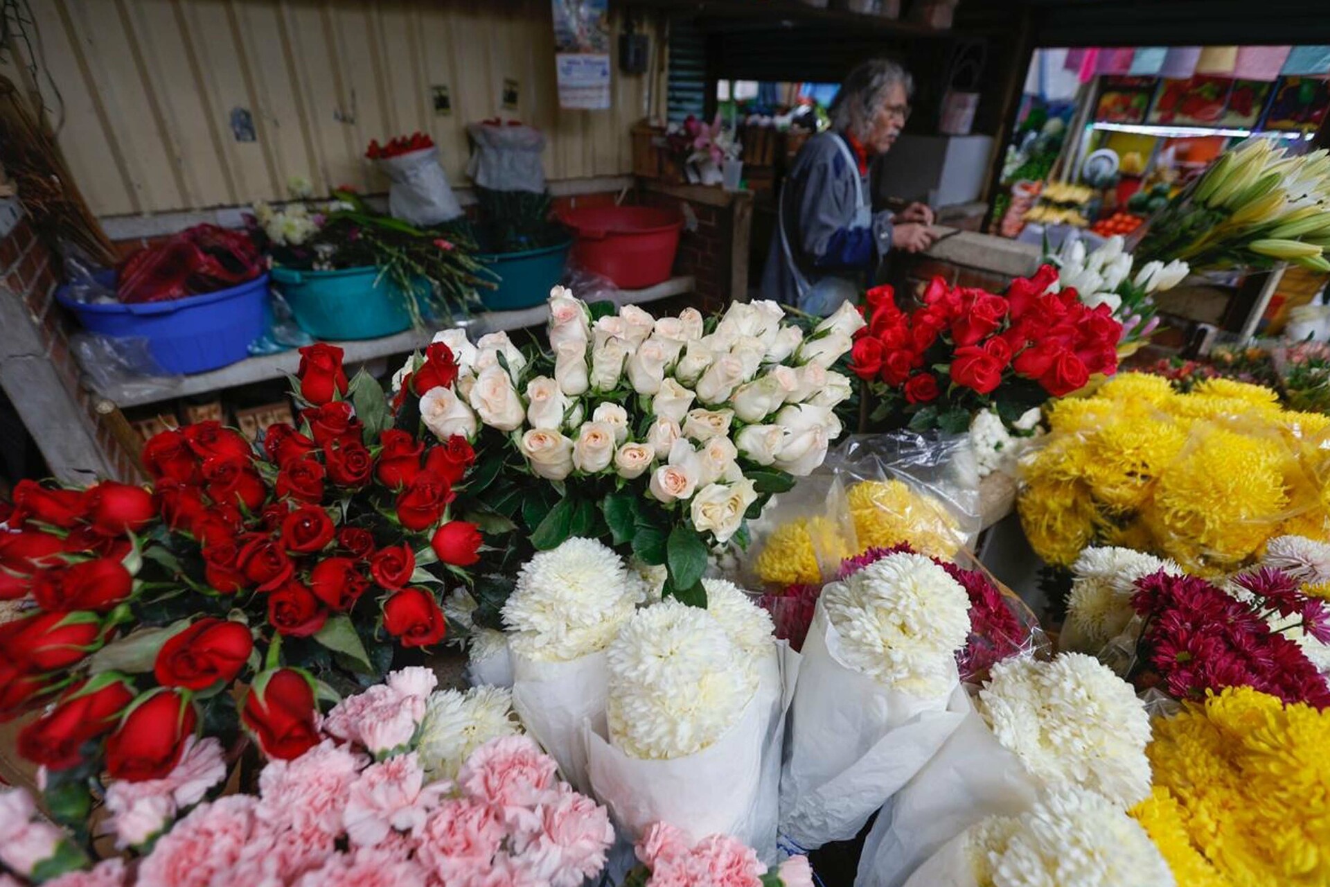 Productores garantizan abasto de flores ornamentales para festejos del 14 de febrero
