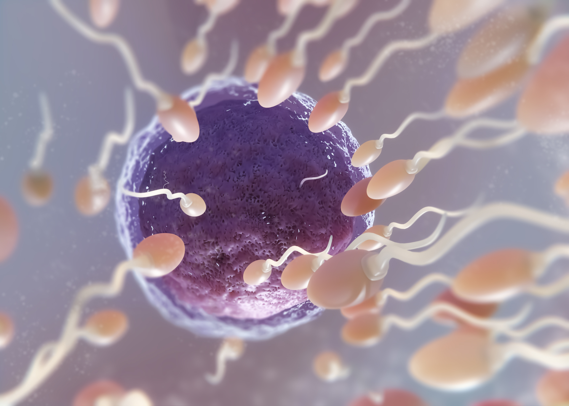 Una técnica de ultrasonidos mejora la movilidad de los espermatozoides humanos un 266 %