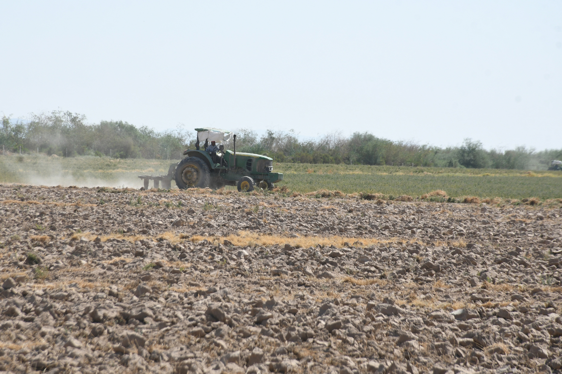 Un tractor arando el campo. (ARCHIVO)