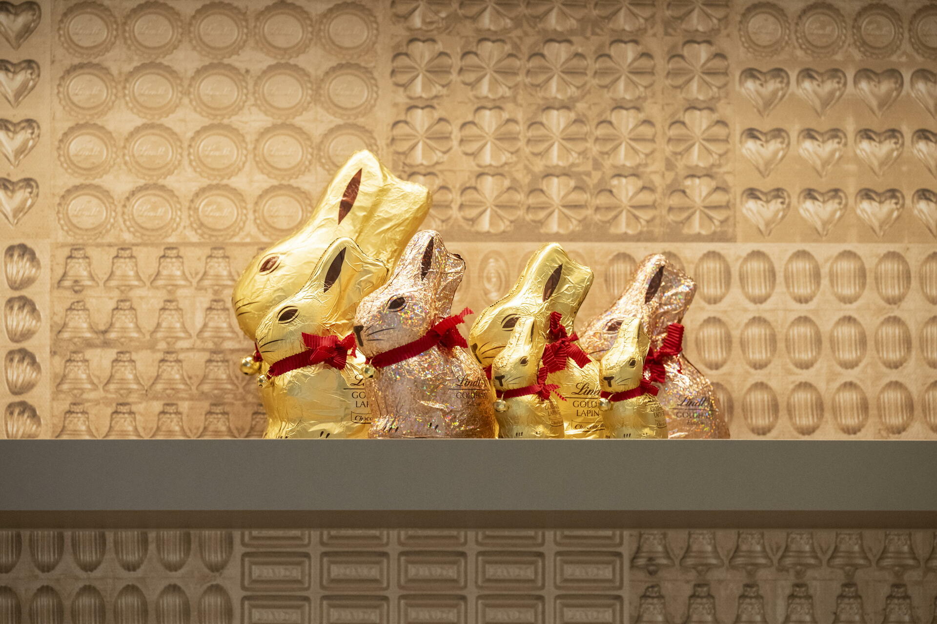 Conejos de oro. (ARCHIVO)
