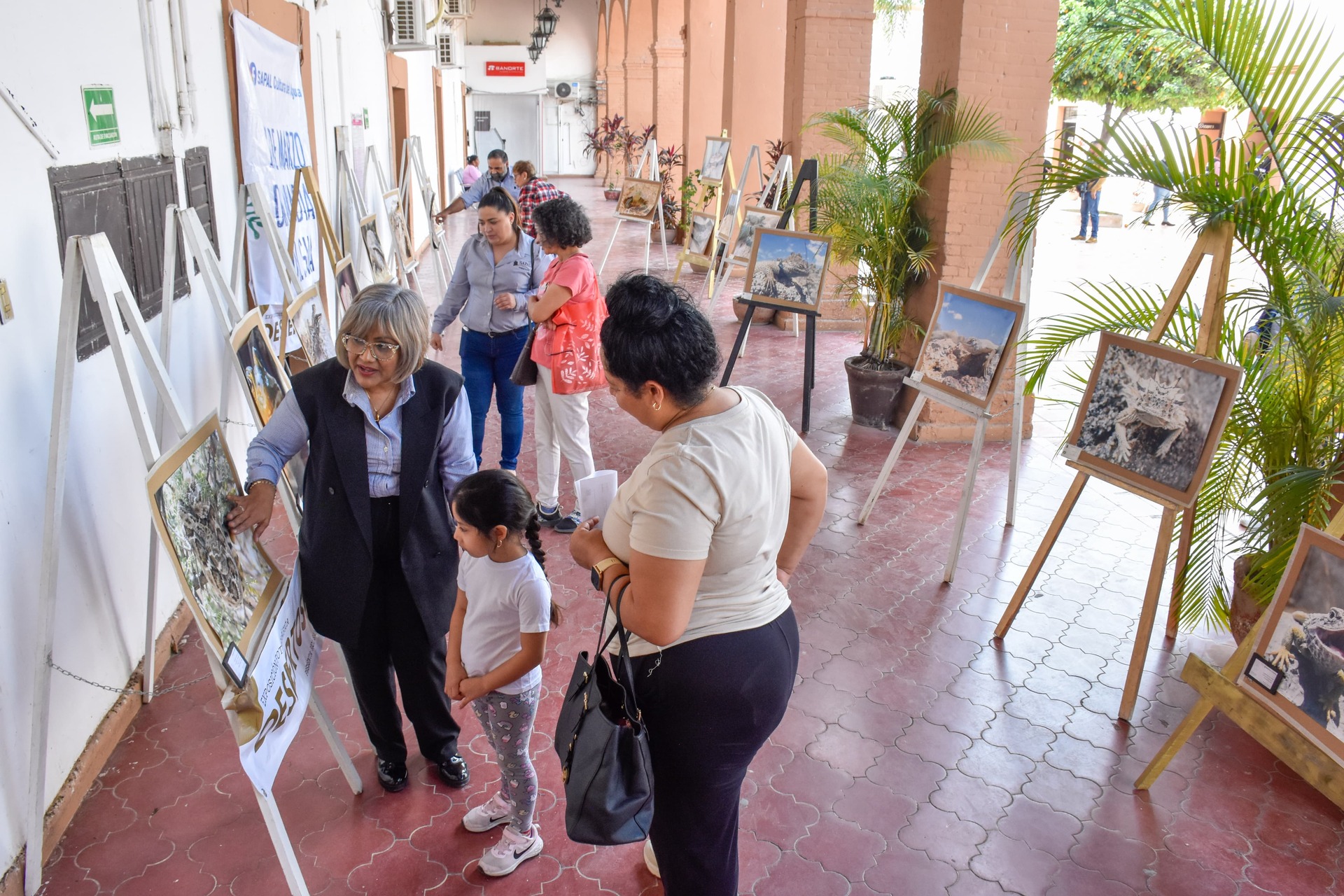 Instalan exhibición de fotografías 'DesiertoSeres' en Presidencia Municipal de Lerdo 