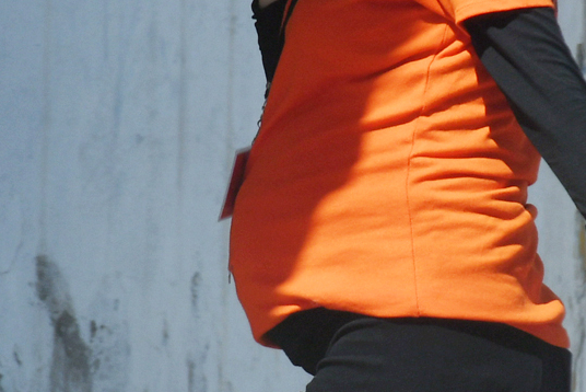 Mujer embarazada. (ARCHIVO)