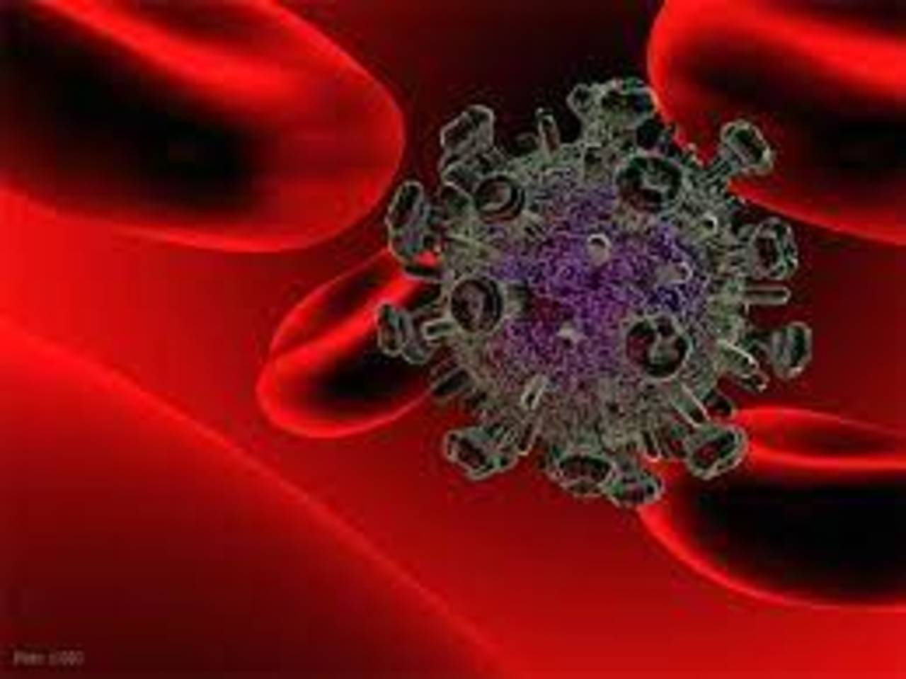 Científicos logran eliminar el VIH de las células