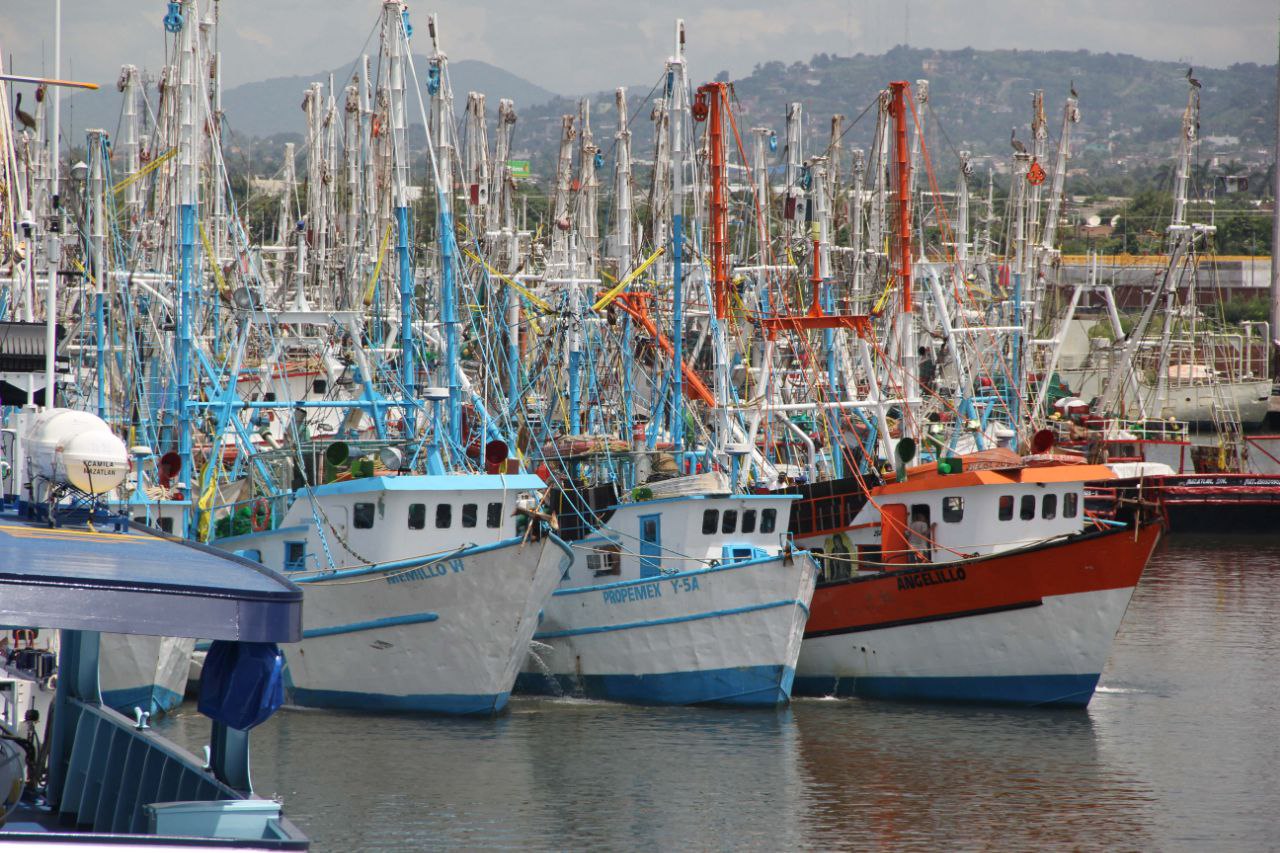 ¿Cuáles son las épocas y zonas de veda para la pesca comercial de camarón en aguas marinas?