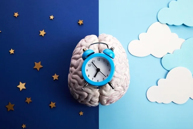 La sincronía del reloj circadiano central y el de los tejidos previene el envejecimiento