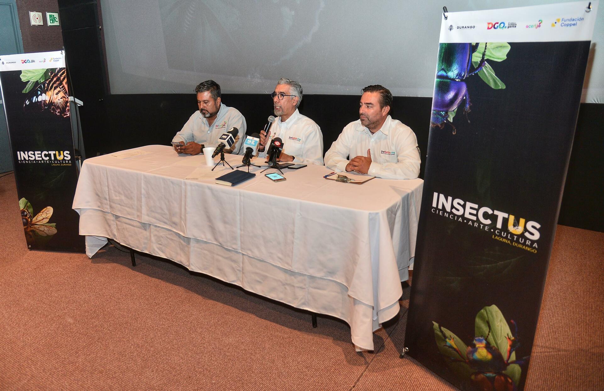 Exposición Insectus llegará al Acertijo Museo Interactivo de Gómez Palacio