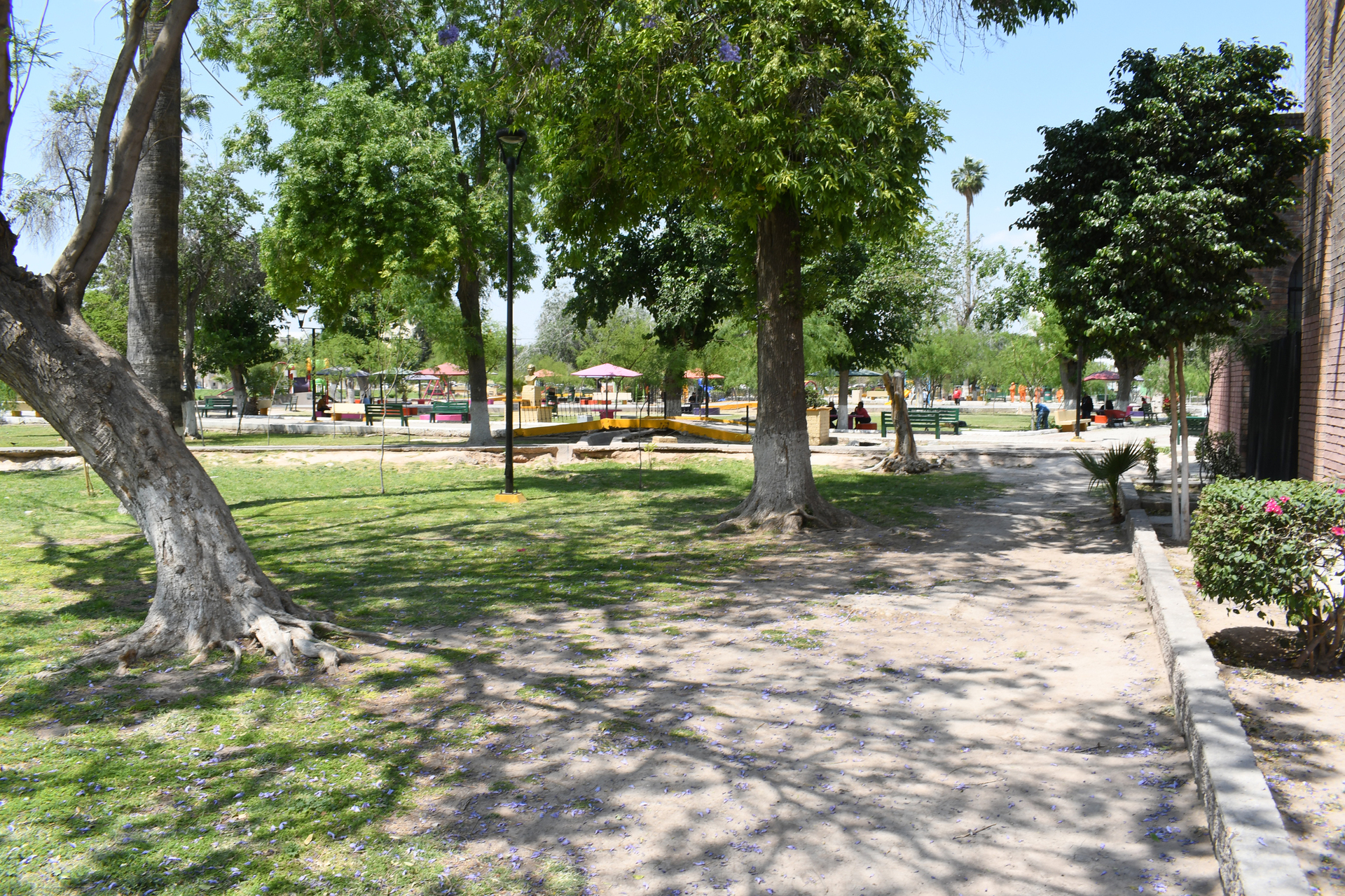 Falta 73 % de áreas verdes en Torreón 