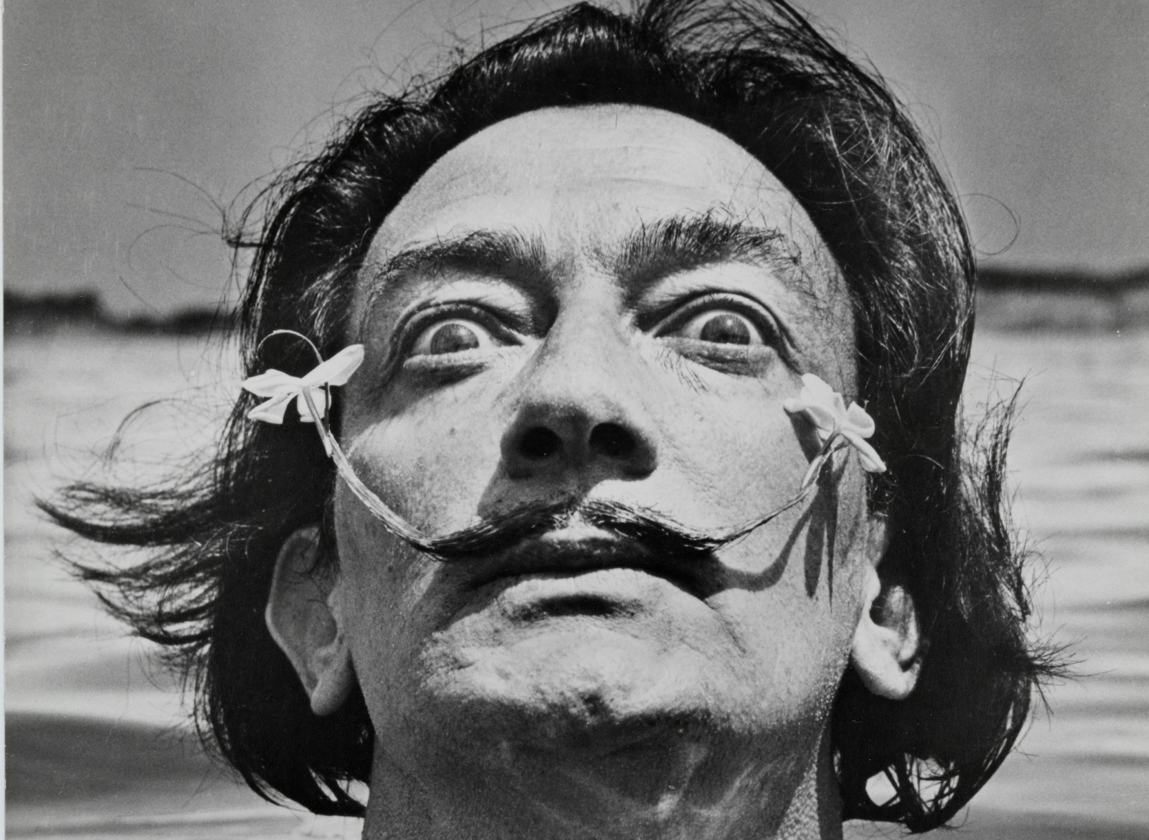 Salvador Dalí (ESPECIAL)