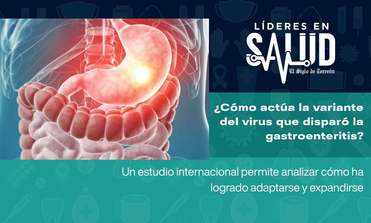 Descubren cómo actúa la variante del virus que ha disparado los casos de gastroenteritis